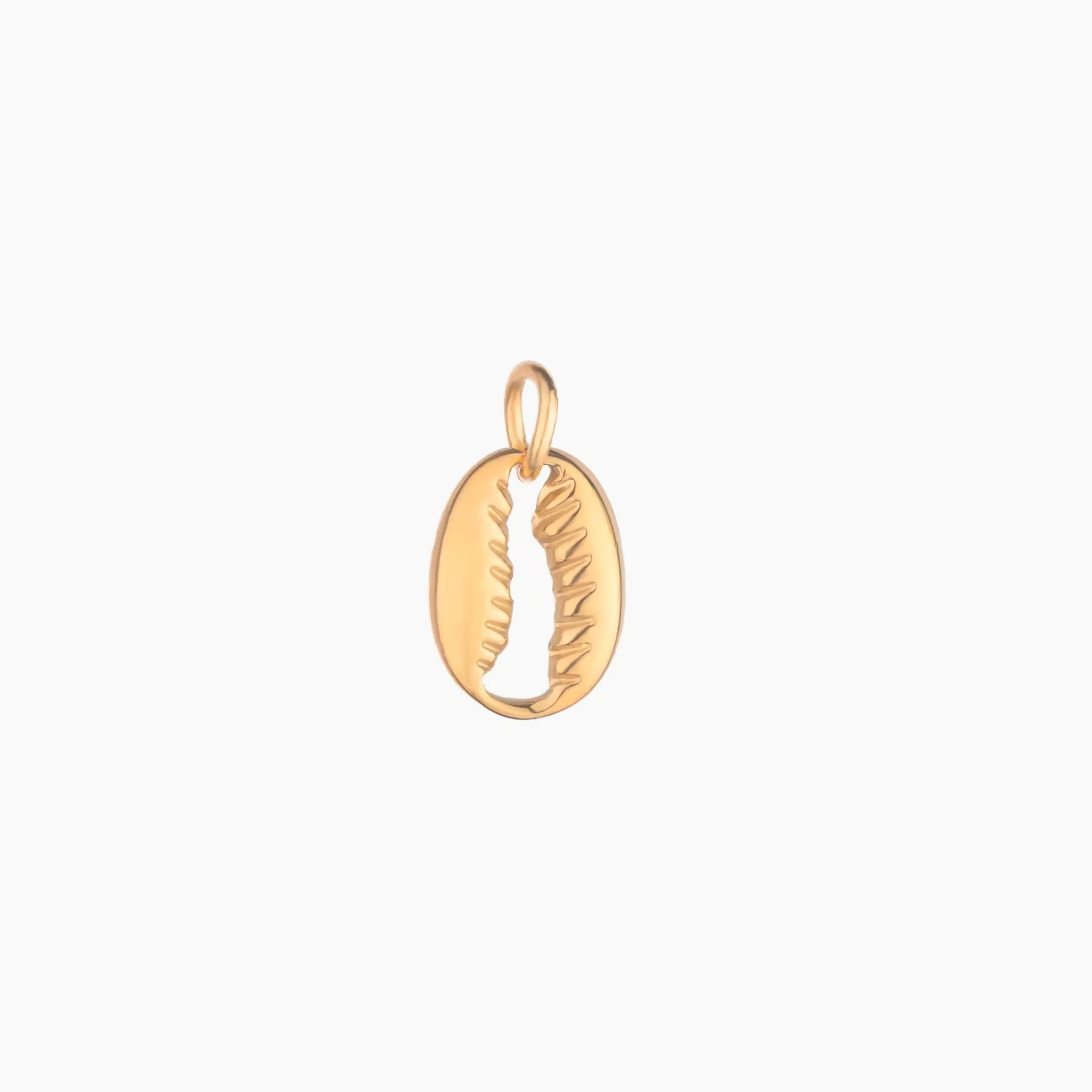 Golden cowrie shell pendant on a white background