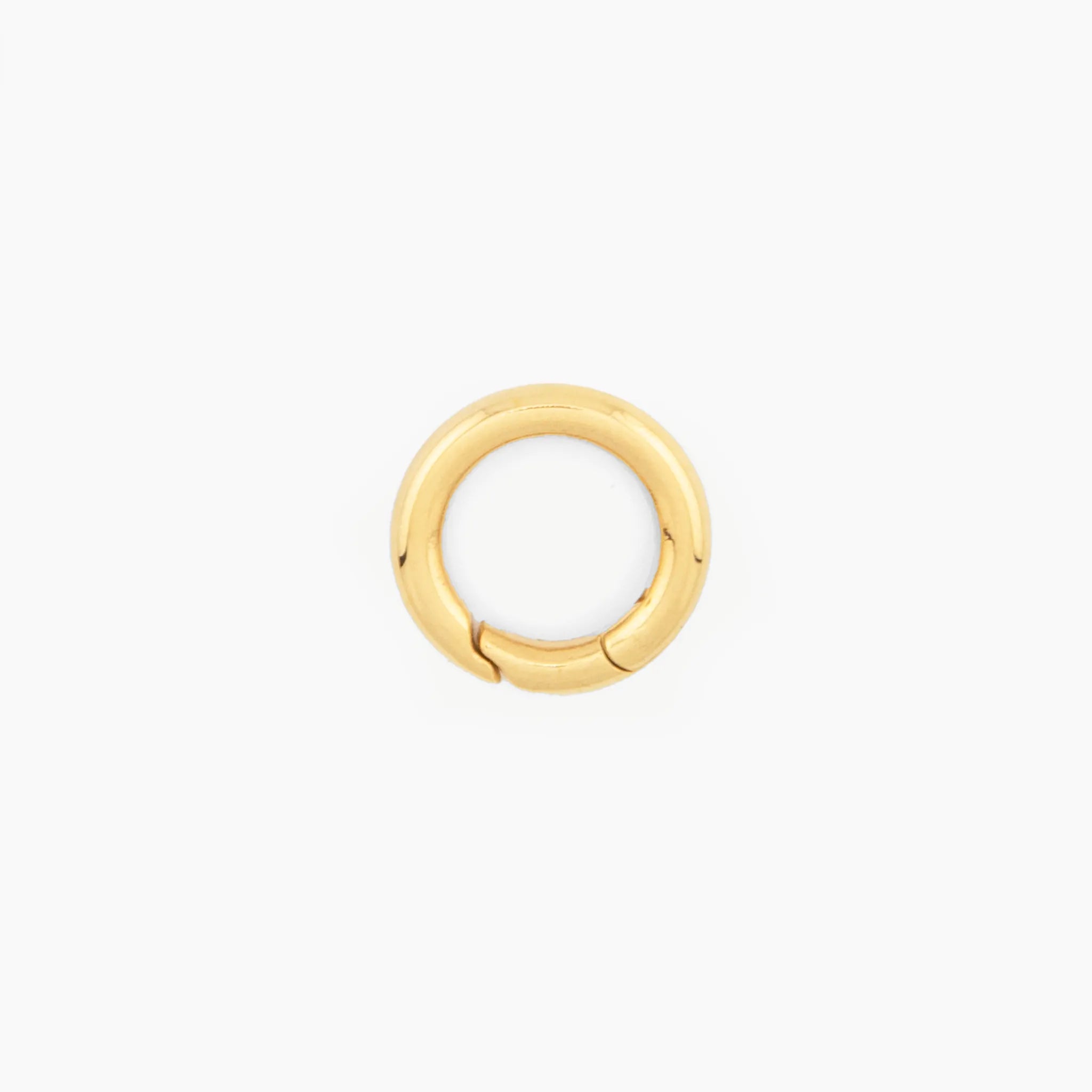 Medium round clasp on a white background
