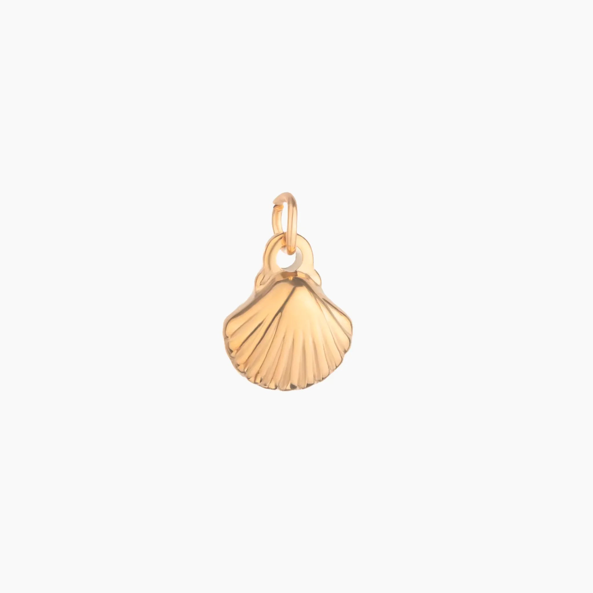 Golden small scallop shell pendant on a white background